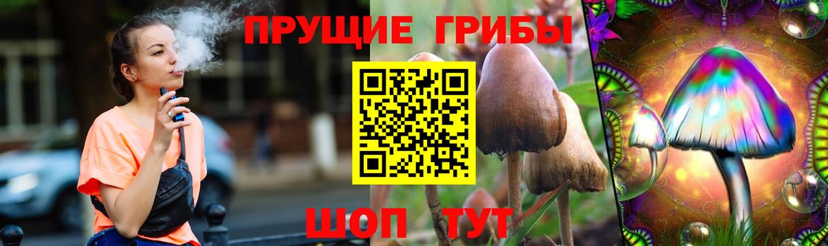 Псилоцибиновые грибы Psilocybine cubensis  Вход с VPN  Биробиджан 